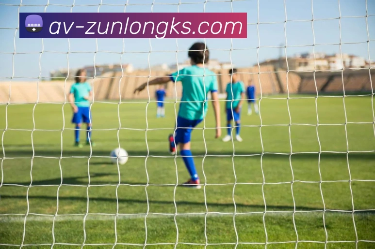 尊龙凯时官网平台生态图