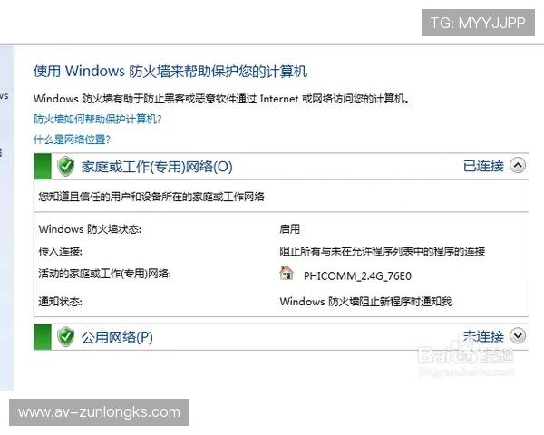 占地五进游戏显示无法连接问题解决方案及常见故障排除方法解析